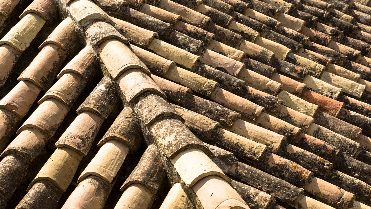 Toiture en Ardoises Naturelles de Pays