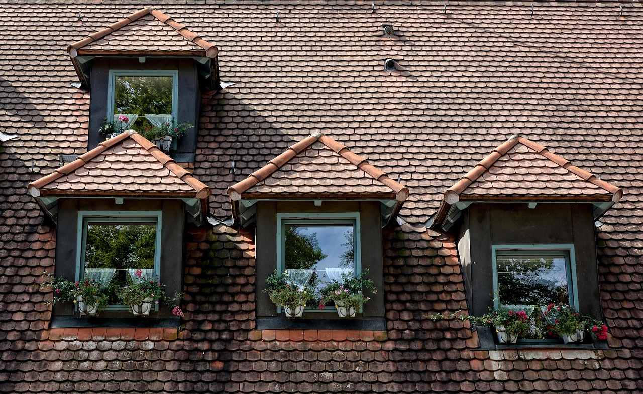 Création de Lucarne & Fenêtre de Toit Velux